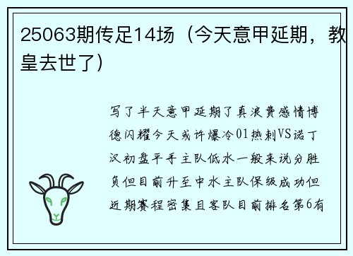 25063期传足14场（今天意甲延期，教皇去世了）